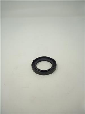 Oil Seal Gear Case Cover 30/34